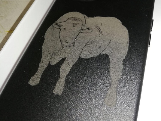 Лазерная гравировка на коже. Подарочная гравировка на заказ