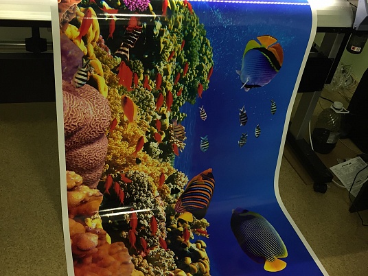 Интерьерная печать на самоклеющейся пленке